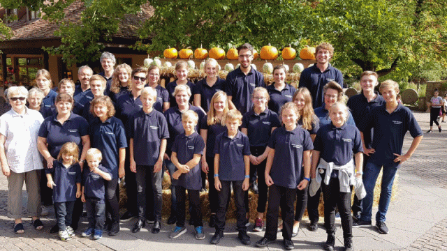 Tripsdrill_Kollage.gif